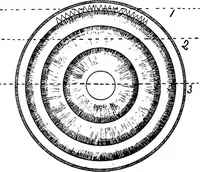 An illustration from Methods in microscopial research; vegetable histology (1905)