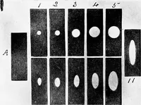 An illustration from Methods in microscopial research; vegetable histology (1905)