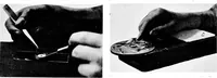 An illustration from Methods in microscopial research; vegetable histology (1905)