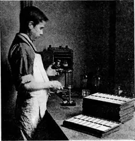 An illustration from Methods in microscopial research; vegetable histology (1905)