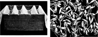 Picture 28 of 151 from Methods in microscopial research; vegetable histology (1905), leaf 66