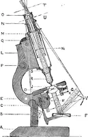 Picture 1 of 60 from The microscope; a simple handbook (1921), leaf 12