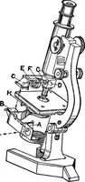 An illustration from The microscope; a simple handbook (1921)