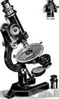 Picture 53 of 60 from The microscope; a simple handbook (1921), leaf 126