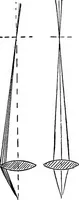 An illustration from The microscope; a simple handbook (1921)