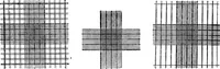 An illustration from The microscope; a simple handbook (1921)