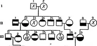 An illustration from The feebly inhibited; Nomadism, or the wandering impulse, with special reference to heredity, Inheritance of temperament (1915)