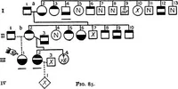 An illustration from The feebly inhibited; Nomadism, or the wandering impulse, with special reference to heredity, Inheritance of temperament (1915)