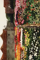 An illustration from Dutch bulbs and gardens (1909)