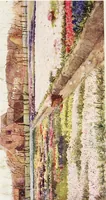 Picture 22 of 24 from Dutch bulbs and gardens (1909), leaf 229