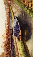 Picture 23 of 24 from Dutch bulbs and gardens (1909), leaf 249
