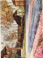 An illustration from Dutch bulbs and gardens (1909)