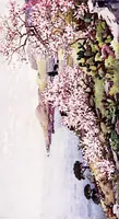 An illustration from The flowers and gardens of Madeira (1909)