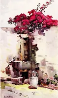 An illustration from The flowers and gardens of Madeira (1909)