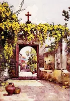 An illustration from The flowers and gardens of Madeira (1909)