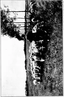 An illustration from Shelter and clothing; a textbook of the household arts (1913)