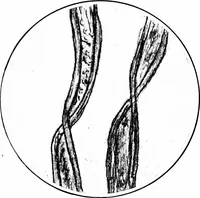An illustration from Shelter and clothing; a textbook of the household arts (1913)