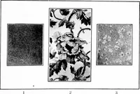 An illustration from Shelter and clothing; a textbook of the household arts (1913)
