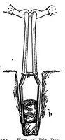 Picture 2 of 12 from The handy boy; a modern handy book of practical and profitable pastimes (1913), leaf 99