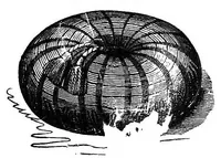 An illustration from The handbook of needlework (1851)