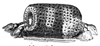 An illustration from The handbook of needlework (1851)