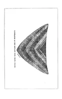 Picture 13 of 13 from The handbook of needlework (1851), leaf 341