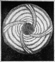 An illustration from The craft of hand-made rugs (1920)