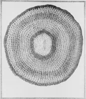 An illustration from The craft of hand-made rugs (1920)