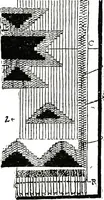 An illustration from The craft of hand-made rugs (1920)
