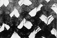 An illustration from The craft of hand-made rugs (1920)