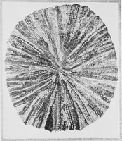 An illustration from The craft of hand-made rugs (1920)