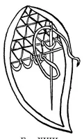 An illustration from The new lace embroidery (Punto tagliato) With 34 illustrations (1905)