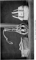 Picture 5 of 72 from Practical and artistic basketry (1904), leaf 22