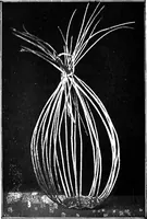 Picture 22 of 72 from Practical and artistic basketry (1904), leaf 59