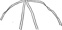An illustration from Practical and artistic basketry (1904)