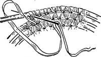An illustration from Practical and artistic basketry (1904)