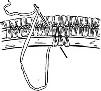 Picture 41 of 72 from Practical and artistic basketry (1904), leaf 92