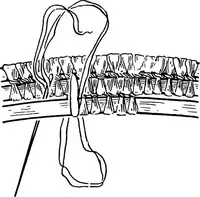 Picture 42 of 72 from Practical and artistic basketry (1904), leaf 93