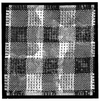 An illustration from Textile design pure and applied (1912)
