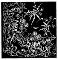 An illustration from Textile design pure and applied (1912)