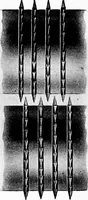An illustration from Wool substitutes (1922)