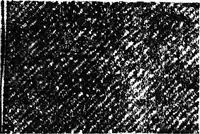 An illustration from Wool substitutes (1922)