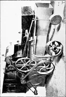 An illustration from Wool substitutes (1922)