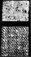 An illustration from Wool substitutes (1922)