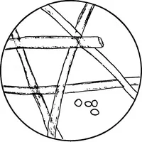 An illustration from Study of fabrics (1920)
