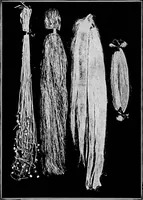 An illustration from Study of fabrics (1920)