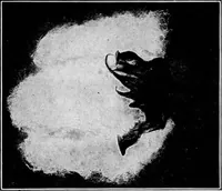 An illustration from Study of fabrics (1920)