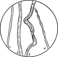An illustration from Study of fabrics (1920)
