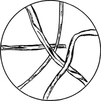 An illustration from Study of fabrics (1920)