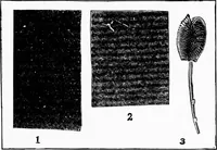 Picture 9 of 24 from Study of fabrics (1920), leaf 52